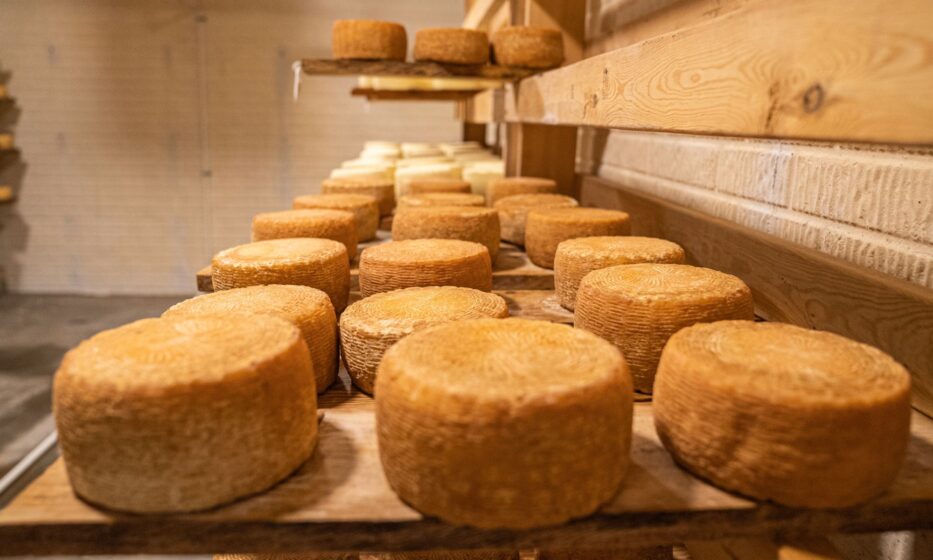 Formaggi-tipici-della-Romagna-guida-ai-sapori-autentici-dellentroterra