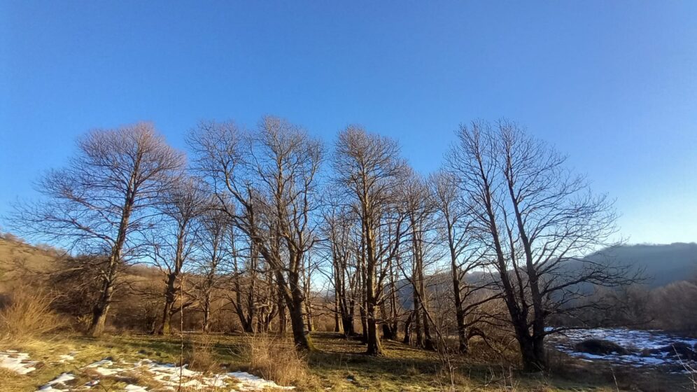Le quattro vallate di Forlì itinerari tra natura, storia e borghi autentici della Romagna